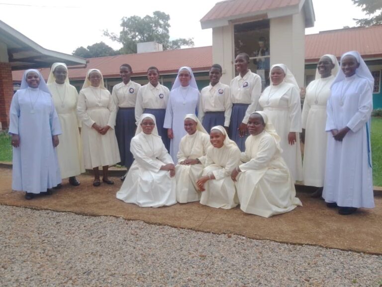 In grey are some of the IHMR novices